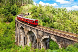 இலங்கையில் எரிபொருள் விலை உயர்வு - அதிகளவில் ரயில் பயணங்கள் மேற்கொள்ளும் மக்கள்