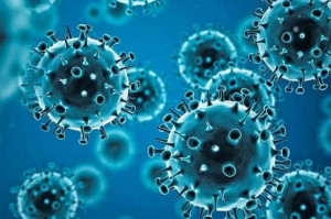 ஒட்டக இறைச்சி உட்கொண்ட பிரான்ஸ் பயணிகள் இருவருக்கு MERS கொரோனா!!