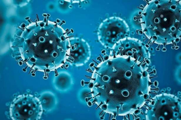 ஒட்டக இறைச்சி உட்கொண்ட பிரான்ஸ் பயணிகள் இருவருக்கு MERS கொரோனா!!