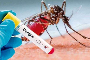இலங்கையில் சிறுவர்களிடையே டெங்கு, சிக்குன்குனியா காய்ச்சல் அதிகரிப்பு